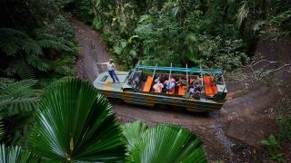 Army Duck Rainforest Tour