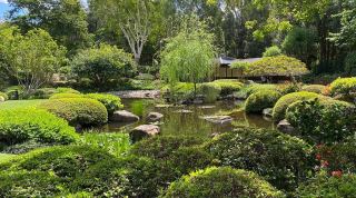 Brisbane City Botanic Gardens