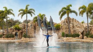 Sea World