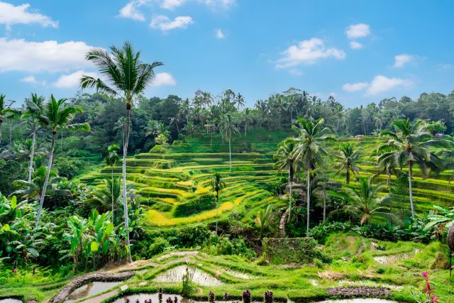 Bali Culture & Adventure - Kuta, Indonesia