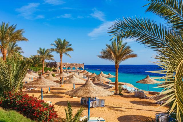 Explore Misr & Sharm El Sheikh - Cairo, Egypt