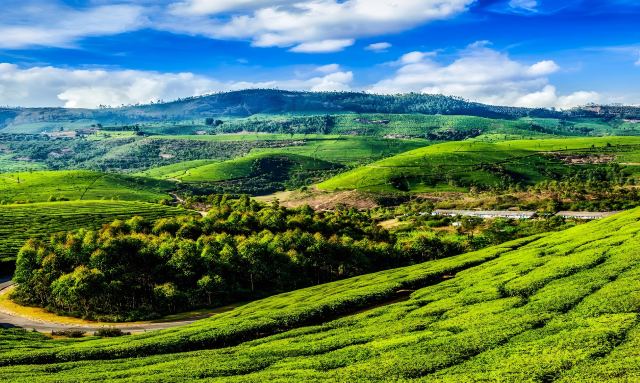Discover Karnataka Wonders - Bengaluru, India