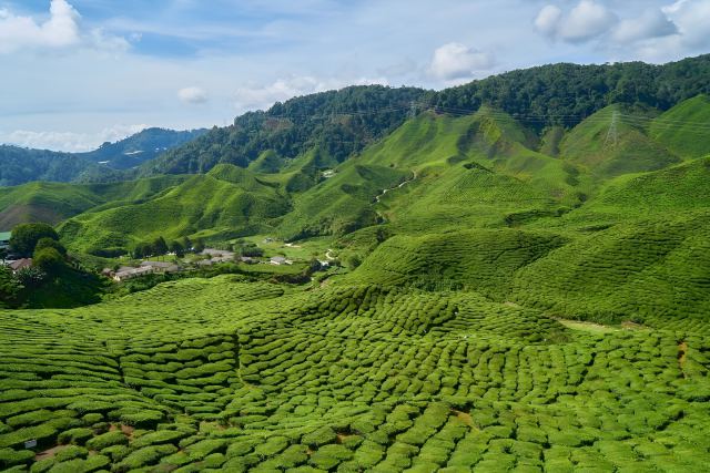 Discover Assam Heritage - Guwahati, India