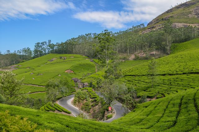 Discover Kerala Nature - Thiruvananthapuram, India