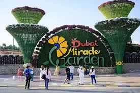 Miracle Garden in Dubai, United Arab Emirates