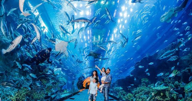 Aquarium & Underwater Zoo in Dubai, United Arab Emirates