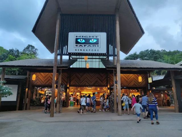 Night Safari