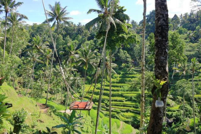 Tegallalang Rice Terrace & Bali Swing in Ubud, Indonesia