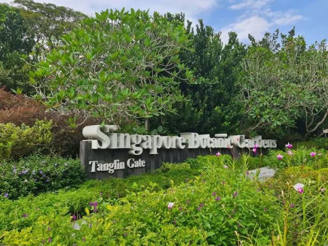 Singapore Botanic Gardens in Singapore, Singapore