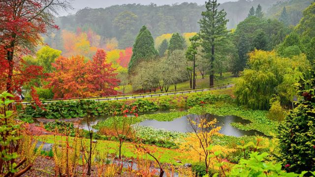 Adelaide Hills in Adelaide, Australia