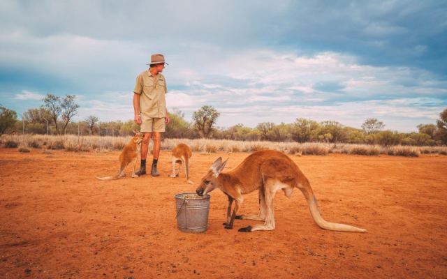 Kangaroo Sanctuary in Alice Springs, Australia
