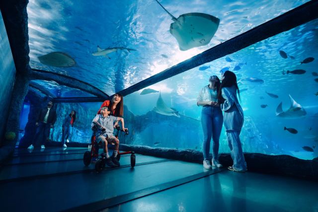 SEA LIFE Sydney Aquarium in Sydney, Australia