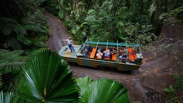 Army Duck Rainforest Tour in Cairns, Australia