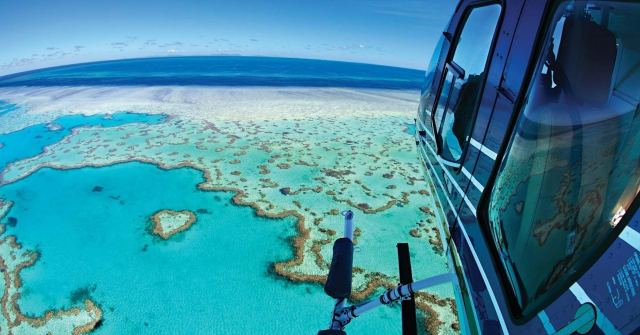 Heart Reef Helicopter Flight in Hamilton, Australia
