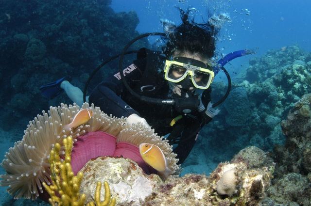 Snorkelling Experience in Hamilton, Australia