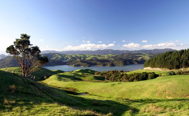 Scenic Waikato Countryside in Rotorua, New Zealand