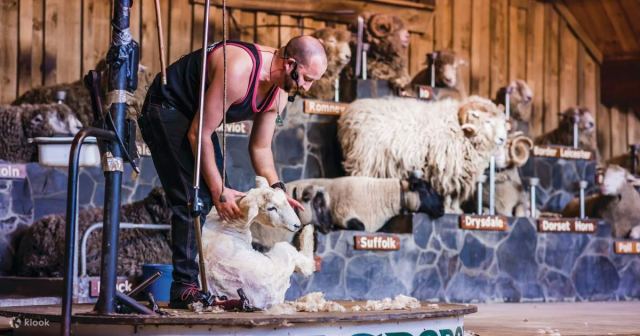 Agrodome Farm Show in Rotorua, New Zealand