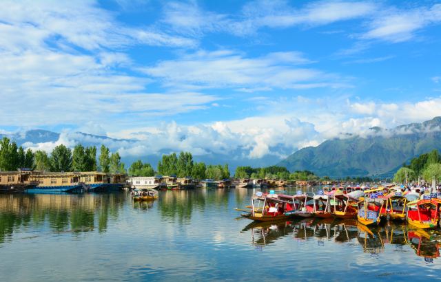 Holidays in Kashmir Tours