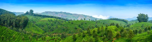 Holidays in Assam Tours