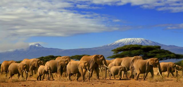 Holidays in Kenya Tours
