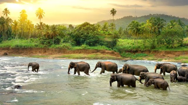 Sri Lanka Visa