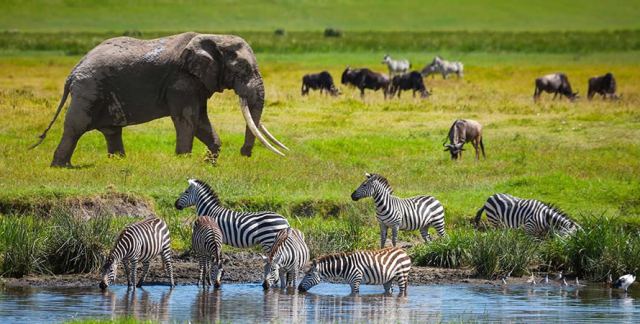 Tanzania Visa