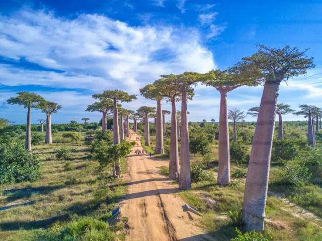 Madagascar Visa