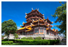 China Tour